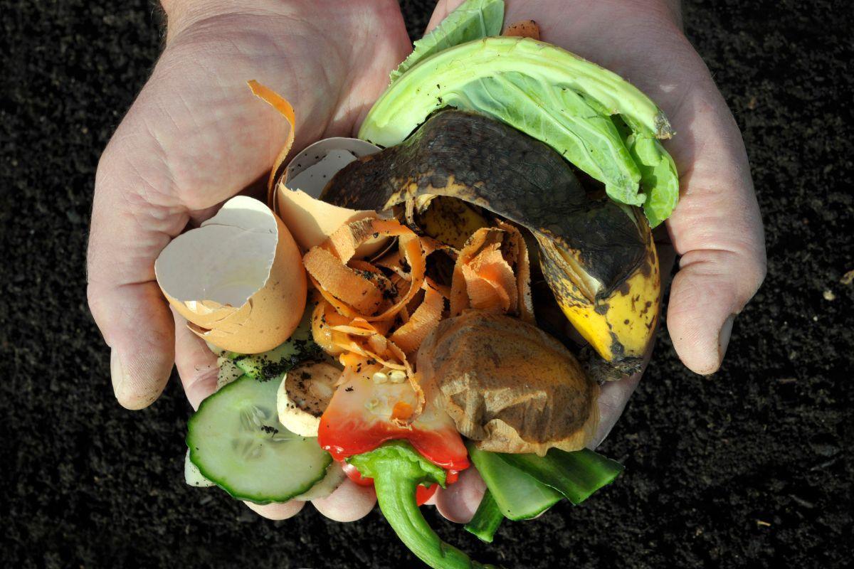 Natūralios trąšos jūsų augalams: kokie maisto produktai tinka daržui tręšti?