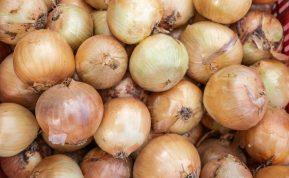 Niekada neišmetu svogūnų lukštų: iš jų gaminu trąšas agurkams