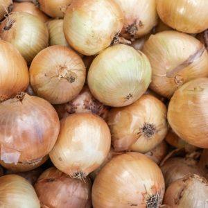 Niekada neišmetu svogūnų lukštų: iš jų gaminu trąšas agurkams