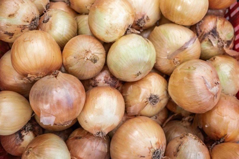 Niekada neišmetu svogūnų lukštų: iš jų gaminu trąšas agurkams