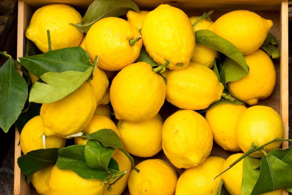 Psichologinis testas: išsirink vaisių ir sužinok, koks meilės skonis laukia tavęs. Citrina