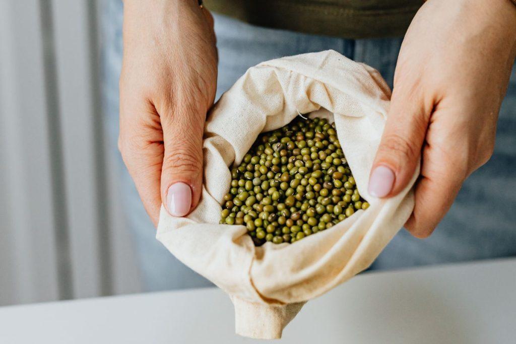 Šio augalo daigai yra ausko vertės: palaiko smegenų, širdies ir žarnyno veiklą. Mung pupelės