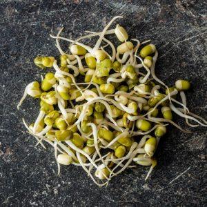 Šio augalo daigai yra ausko vertės: palaiko smegenų, širdies ir žarnyno veiklą.