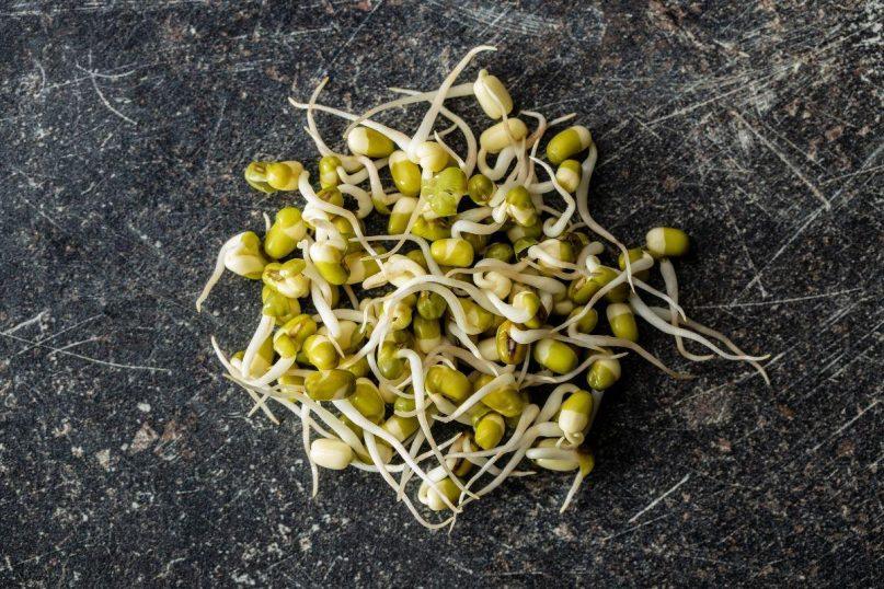 Šio augalo daigai yra ausko vertės: palaiko smegenų, širdies ir žarnyno veiklą.