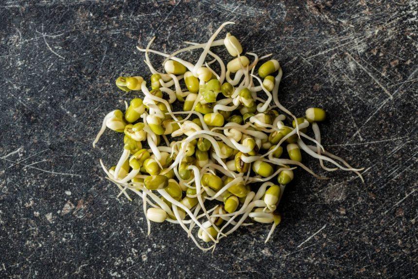 Šio augalo daigai yra ausko vertės: palaiko smegenų, širdies ir žarnyno veiklą.