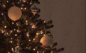 Tikroji kalėdinių eglučių istorija: stulbinančios detalės, kurios buvo slepiamos šimtus metų.