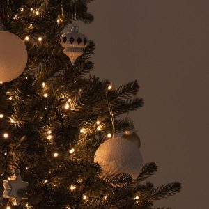 Tikroji kalėdinių eglučių istorija: stulbinančios detalės, kurios buvo slepiamos šimtus metų.