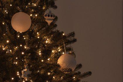 Tikroji kalėdinių eglučių istorija: stulbinančios detalės, kurios buvo slepiamos šimtus metų.