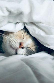 5 įpročiai, kurie trukdo gerai miego kokybei