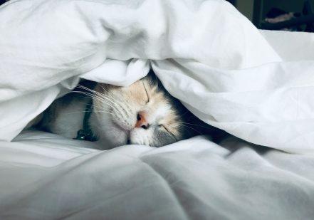 5 įpročiai, kurie trukdo gerai miego kokybei