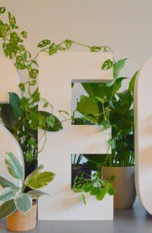 a white sign with plants and a potted plant next to it