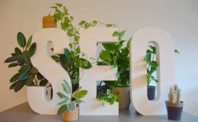 a white sign with plants and a potted plant next to it