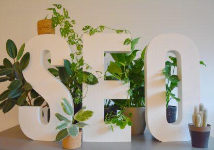 a white sign with plants and a potted plant next to it