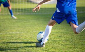 Sporto sezono ritmu: kaip fanai seka savo komandas visus metus?