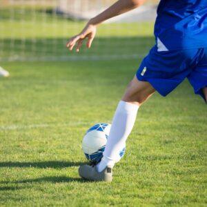 Sporto sezono ritmu: kaip fanai seka savo komandas visus metus?