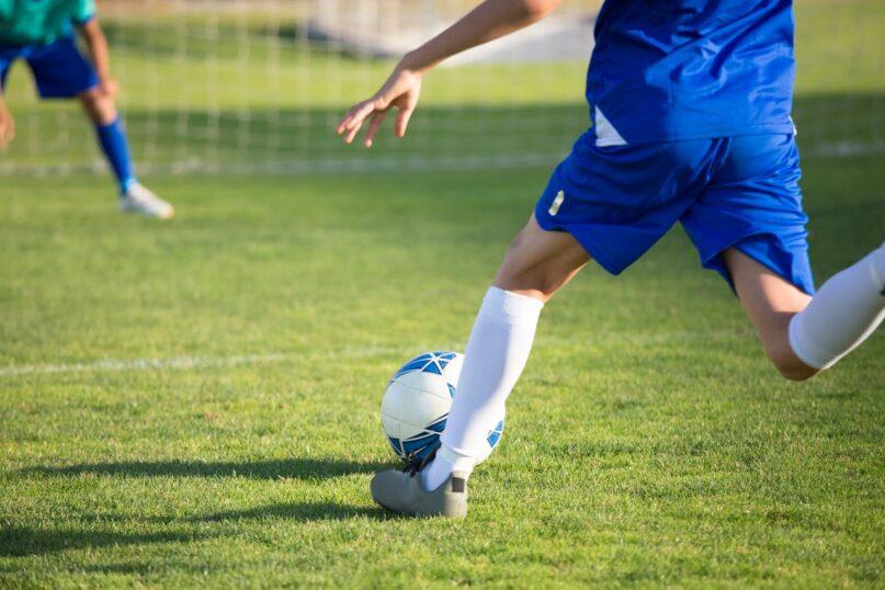Sporto sezono ritmu: kaip fanai seka savo komandas visus metus?