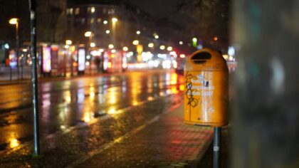 Nematomi miesto gyventojai: kaip lapės, mangustai ir meškėnai prisitaiko prie žmonių kaimynystės